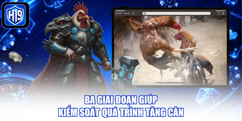 Ba giai đoạn giúp kiểm soát quá trình tăng cân