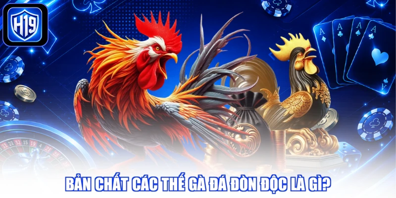 Bản chất các thế gà đá đòn độc là gì?