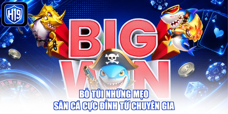 Bỏ túi những mẹo săn cá cực đỉnh từ chuyên gia