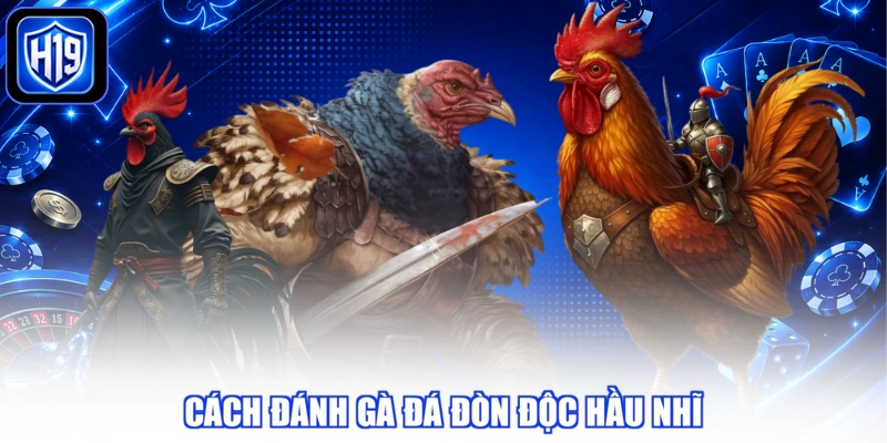 Cách đánh gà đá đòn độc hầu nhĩ