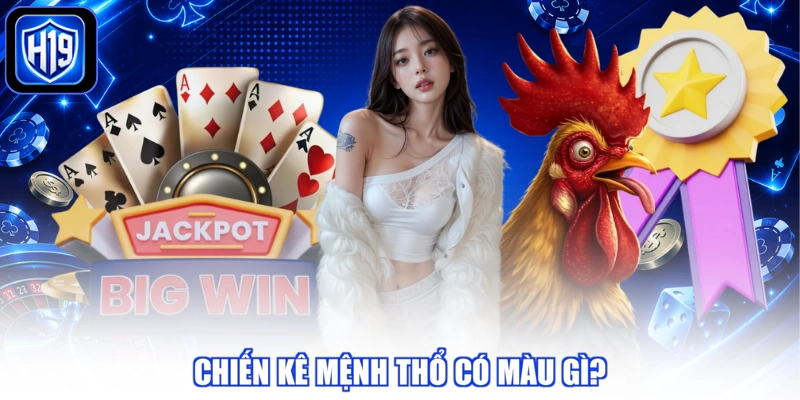 Chiến kê mệnh thổ có màu gì?