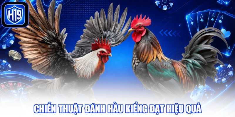 Chiến thuật đánh hầu kiểng đạt hiệu quả