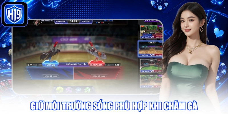 Giữ môi trường sống phù hợp khi chăm gà