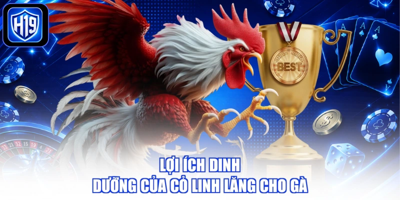 Lợi ích dinh dưỡng của cỏ linh lăng cho gà