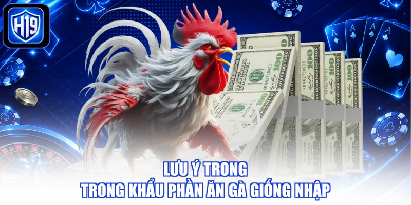 Lưu ý trong trong khẩu phần ăn gà giống nhập