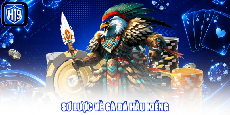 Sơ lược về gà đá hầu kiềng