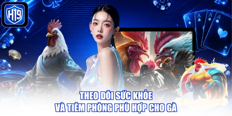 Theo dõi sức khỏe và tiêm phòng phù hợp cho gà