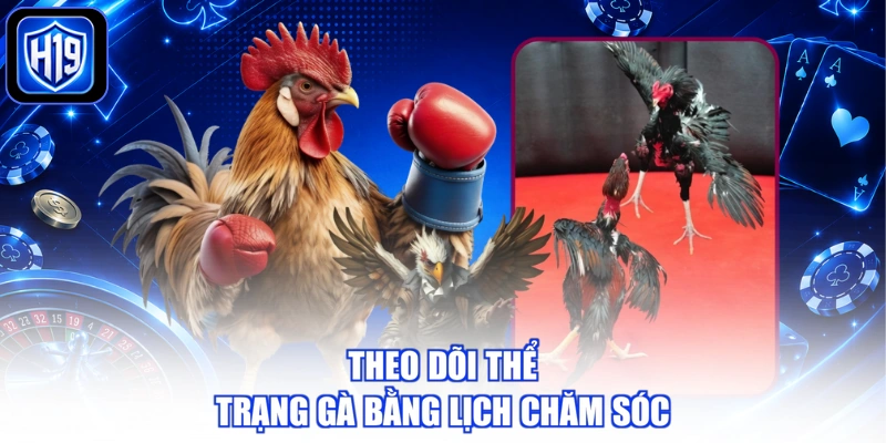 Theo dõi thể trạng gà bằng lịch chăm sóc