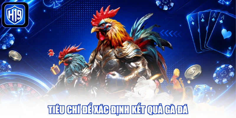 Tiêu chí để xác định kết quả gà đá