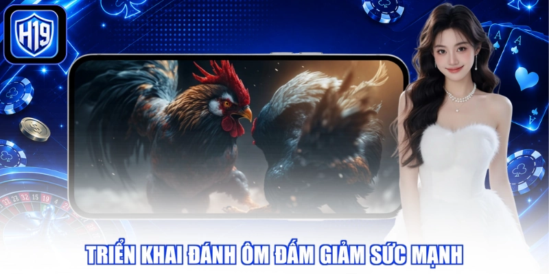 Triển khai đánh ôm đấm giảm sức mạnh