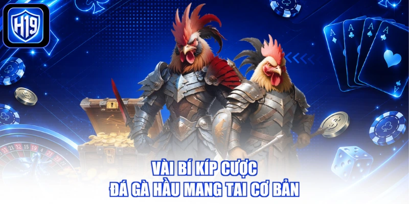 Vài bí kíp cược đá gà hầu mang tai cơ bản