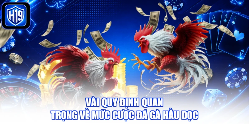 Vài quy định quan trọng về mức cược đá gà hầu dọc